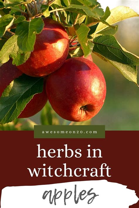 The Power of Apple Enchantments in Witchcraft